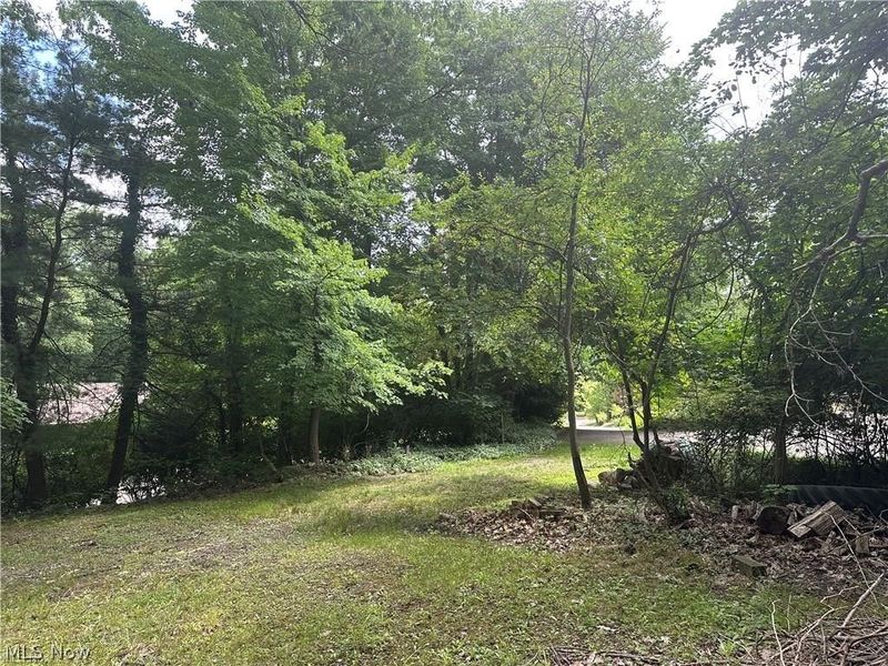 Belleau Wood Drive , Akron, OH 44303 Photo 6