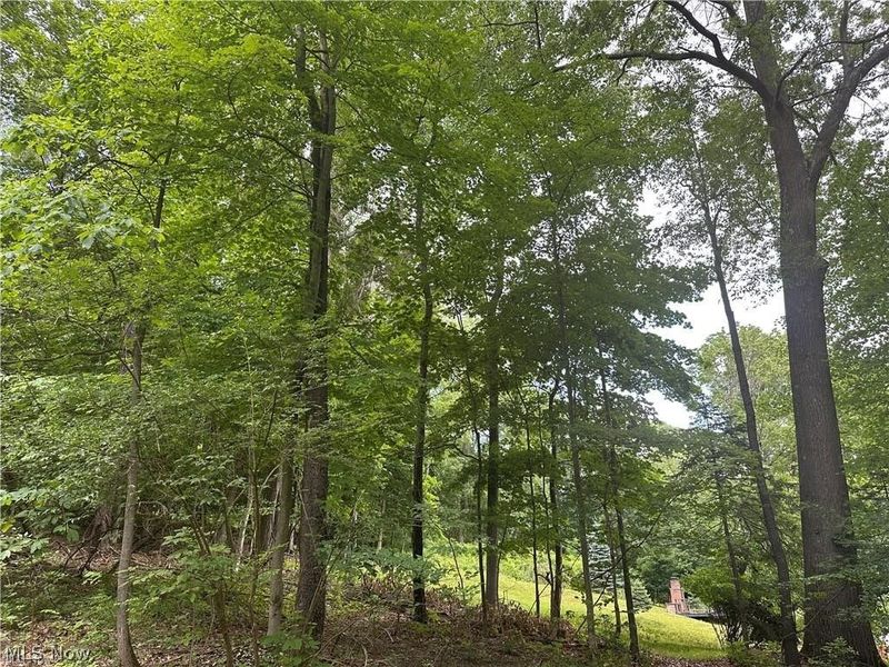 Belleau Wood Drive , Akron, OH 44303 Photo 7