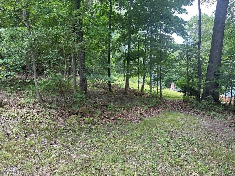 Belleau Wood Drive , Akron, OH 44303 Photo 8