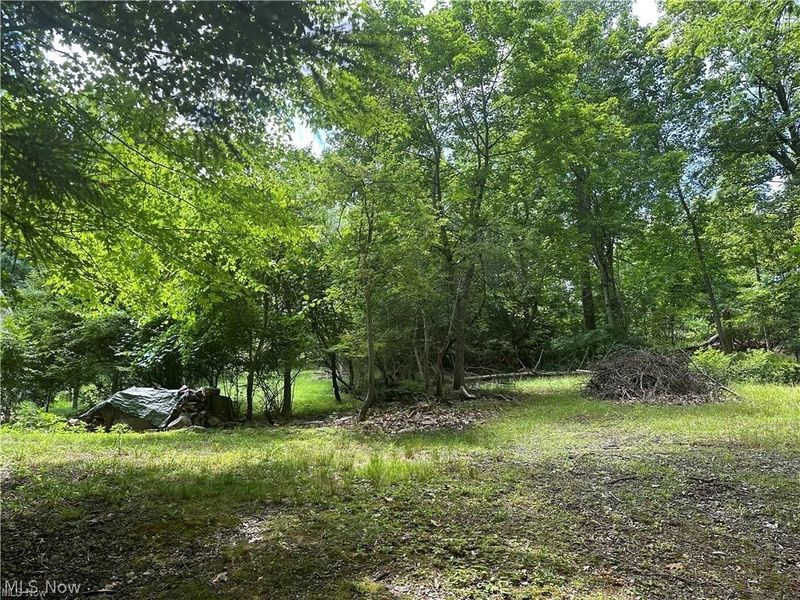 Belleau Wood Drive , Akron, OH 44303 Photo 9