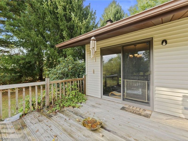 4278 Dudley Road, Mantua, OH 44255 Photo 22