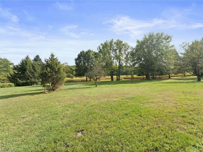 4278 Dudley Road, Mantua, OH 44255 Photo 25