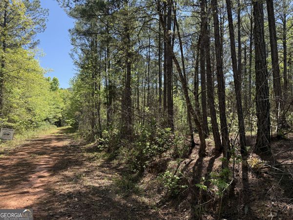 19.74 ACRES Davis Lake Road, Pine Mountain, GA 31822