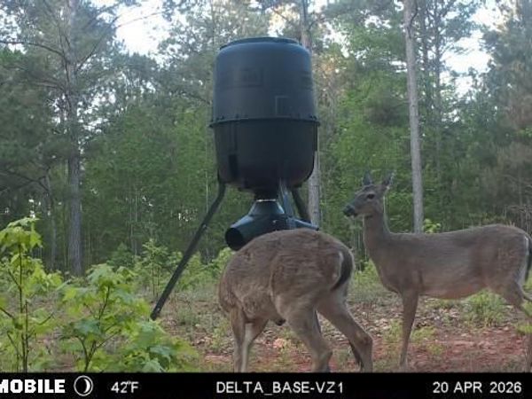 19.74 ACRES Davis Lake Road, Pine Mountain, GA 31822