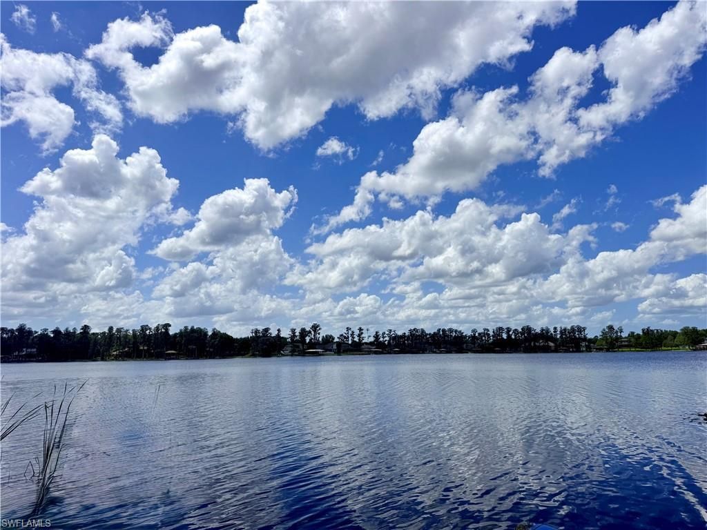 14232 Chisholm Ln, Odessa, FL 33556 Photo