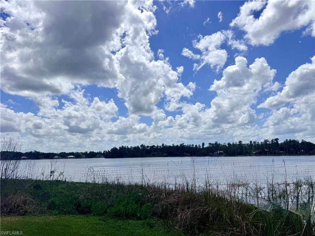 14232 Chisholm Ln, Odessa, FL 33556 Photo