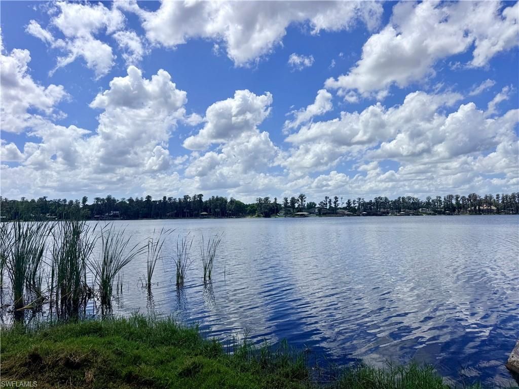 14232 Chisholm Ln, Odessa, FL 33556 Photo