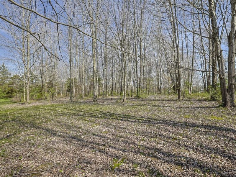 4903 State Route 132, Morrow, OH 45152 Photo 43