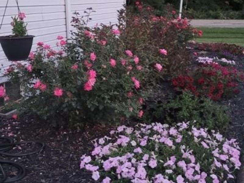 4903 State Route 132, Morrow, OH 45152 Photo 55