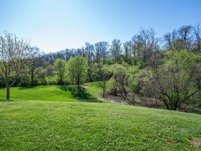 4817 Kleeman Green Drive, Cincinnati, OH 45211 Photo 41