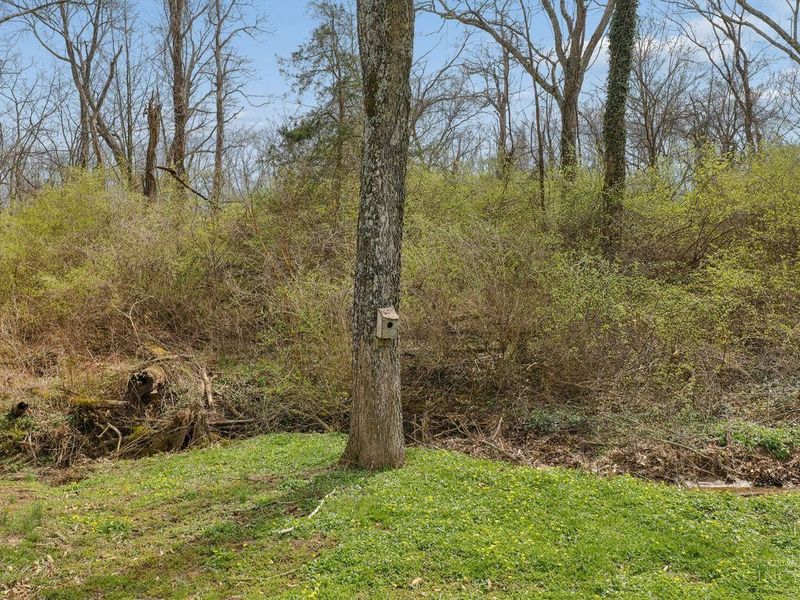 6590 Morrow Rossburg Road, Salem Twp, OH 45152 Photo 65