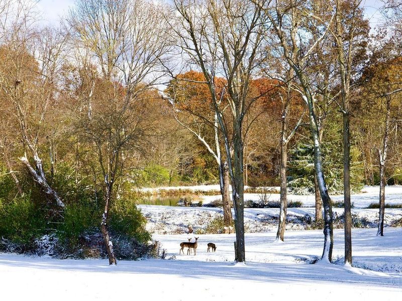 6590 Morrow Rossburg Road, Salem Twp, OH 45152 Photo 79