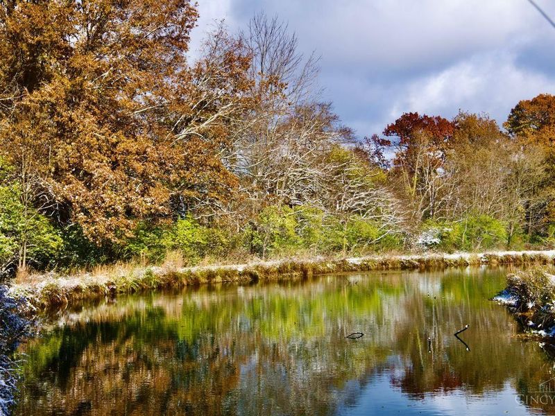 6590 Morrow Rossburg Road, Salem Twp, OH 45152 Photo 80