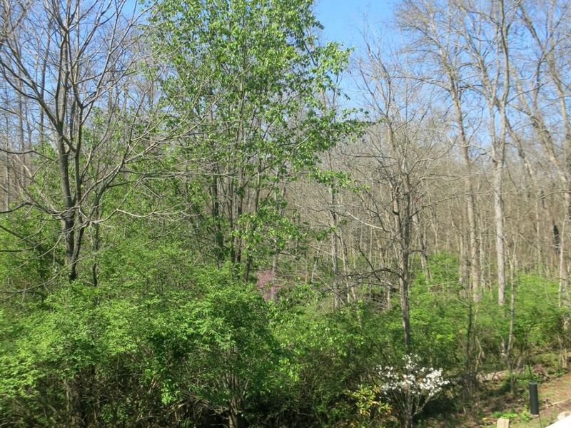 5957 Castlewood, Unit 3, Miami Twp, OH 45150 Photo 35