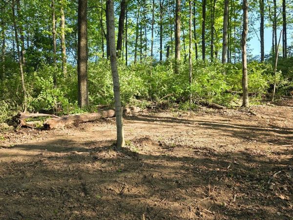 11965 Stone Mill Road, Cincinnati, OH 45251