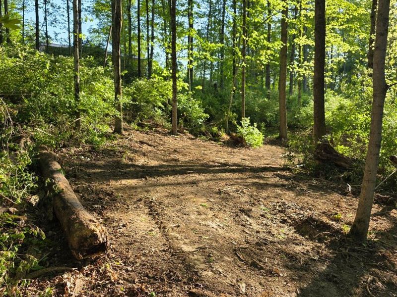 11965 Stone Mill Road, Cincinnati, OH 45251 Photo 2