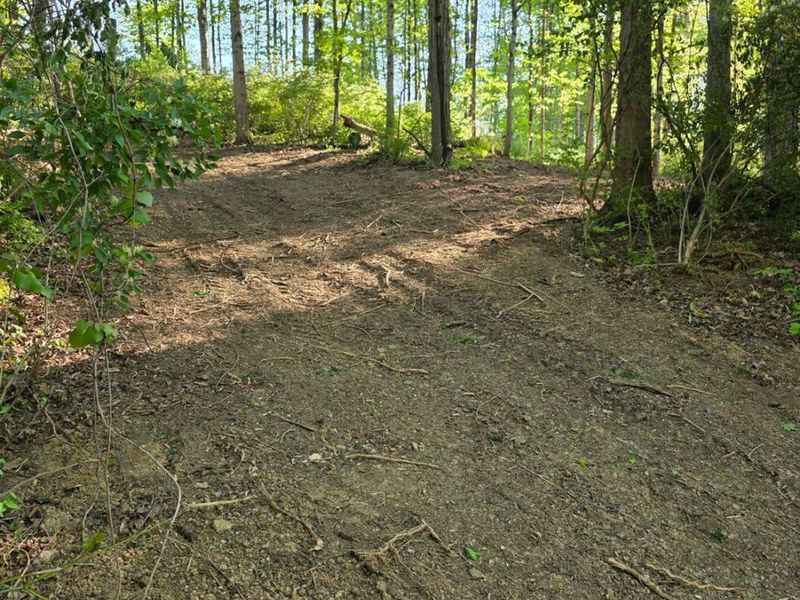 11965 Stone Mill Road, Cincinnati, OH 45251 Photo 4