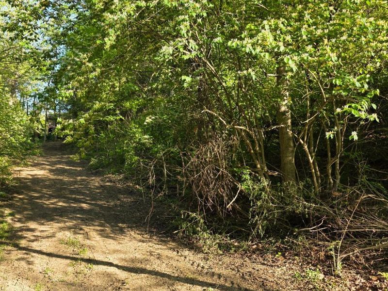 11965 Stone Mill Road, Cincinnati, OH 45251 Photo 6