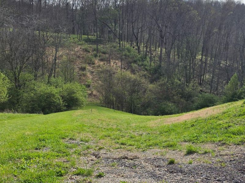 11965 Stone Mill Road, Cincinnati, OH 45251 Photo 8