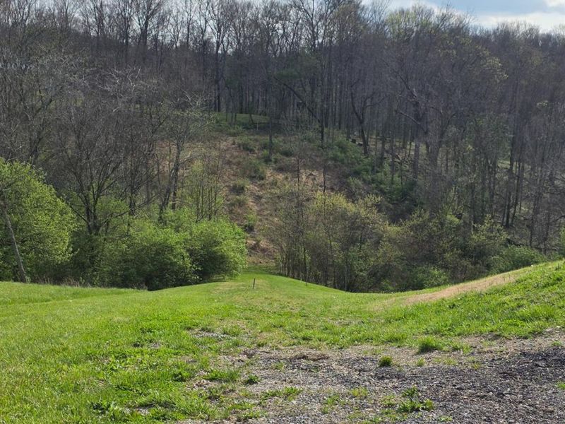 11965 Stone Mill Road, Cincinnati, OH 45251 Photo 9