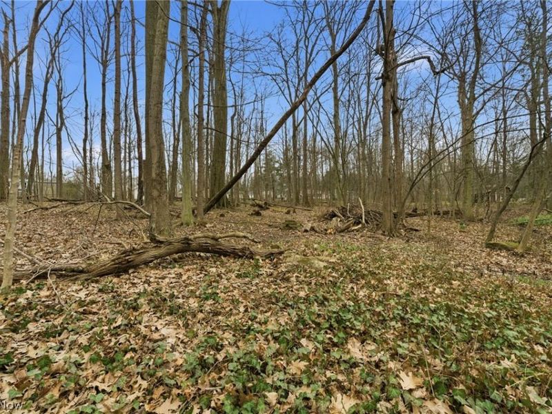 6792 Glenview Road , Mayfield Village, OH 44143 Photo 42