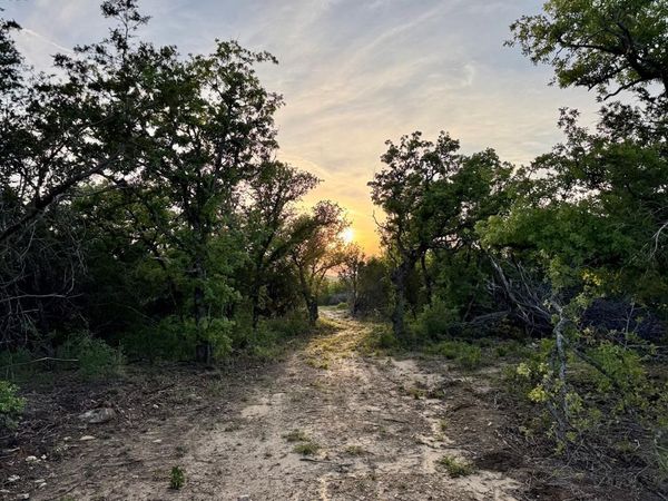 16811 County Road 107, Mingus, TX 76463