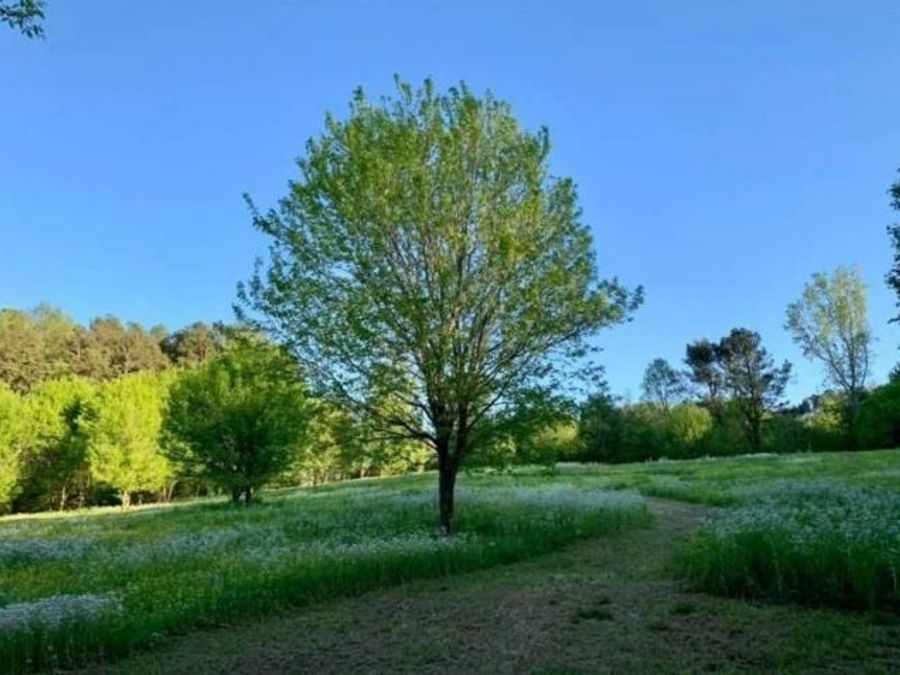 Property Image 68