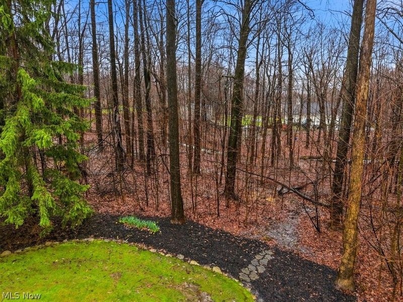 8316 Browning Court , Concord Township, OH 44060 Photo 46