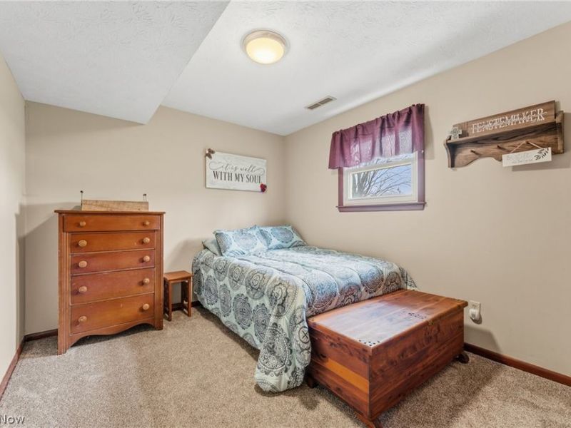 10805 Easton Street NE, Alliance, OH 44601 Photo 17