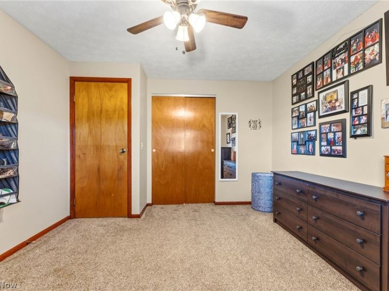 10805 Easton Street NE, Alliance, OH 44601 Photo 23