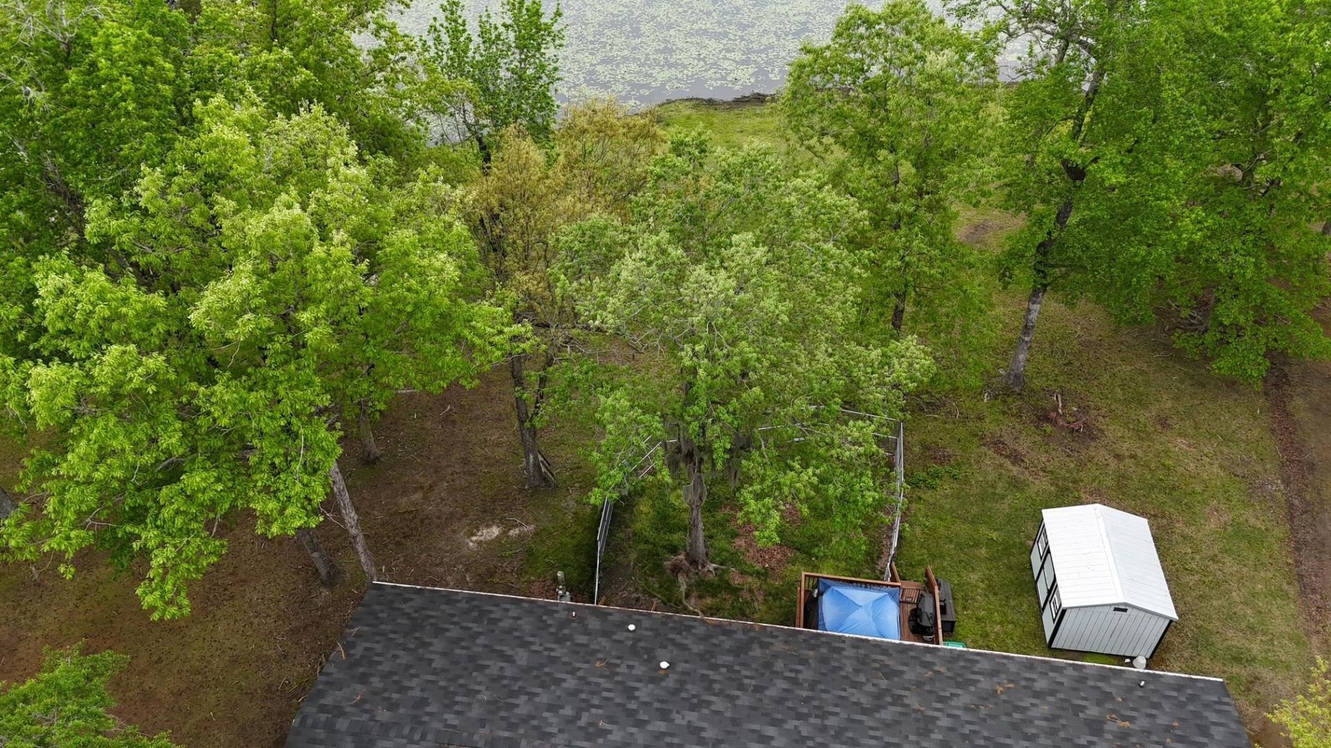 233 Williamson Lake Circle Photo 11