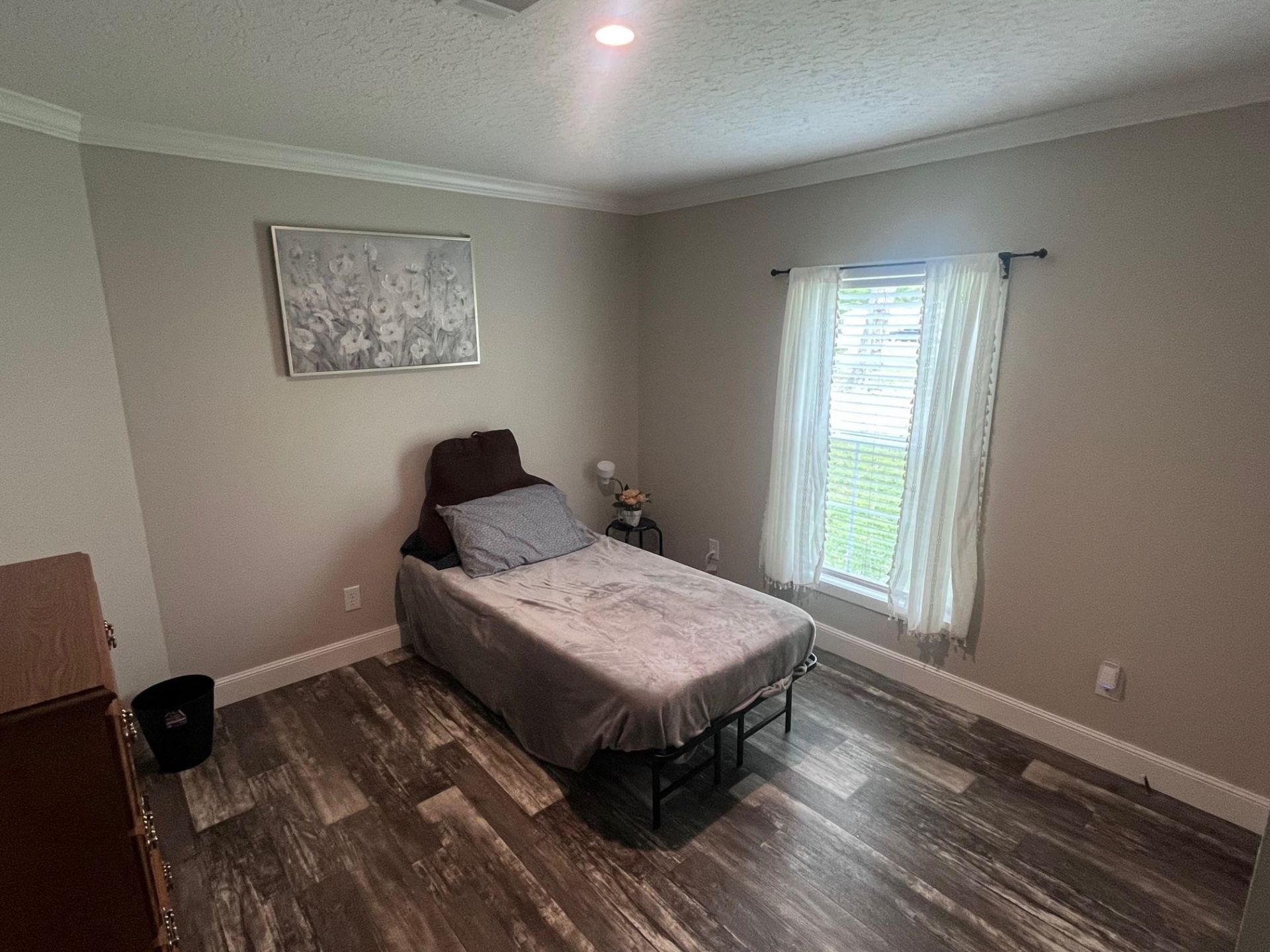 233 Williamson Lake Circle Photo 50