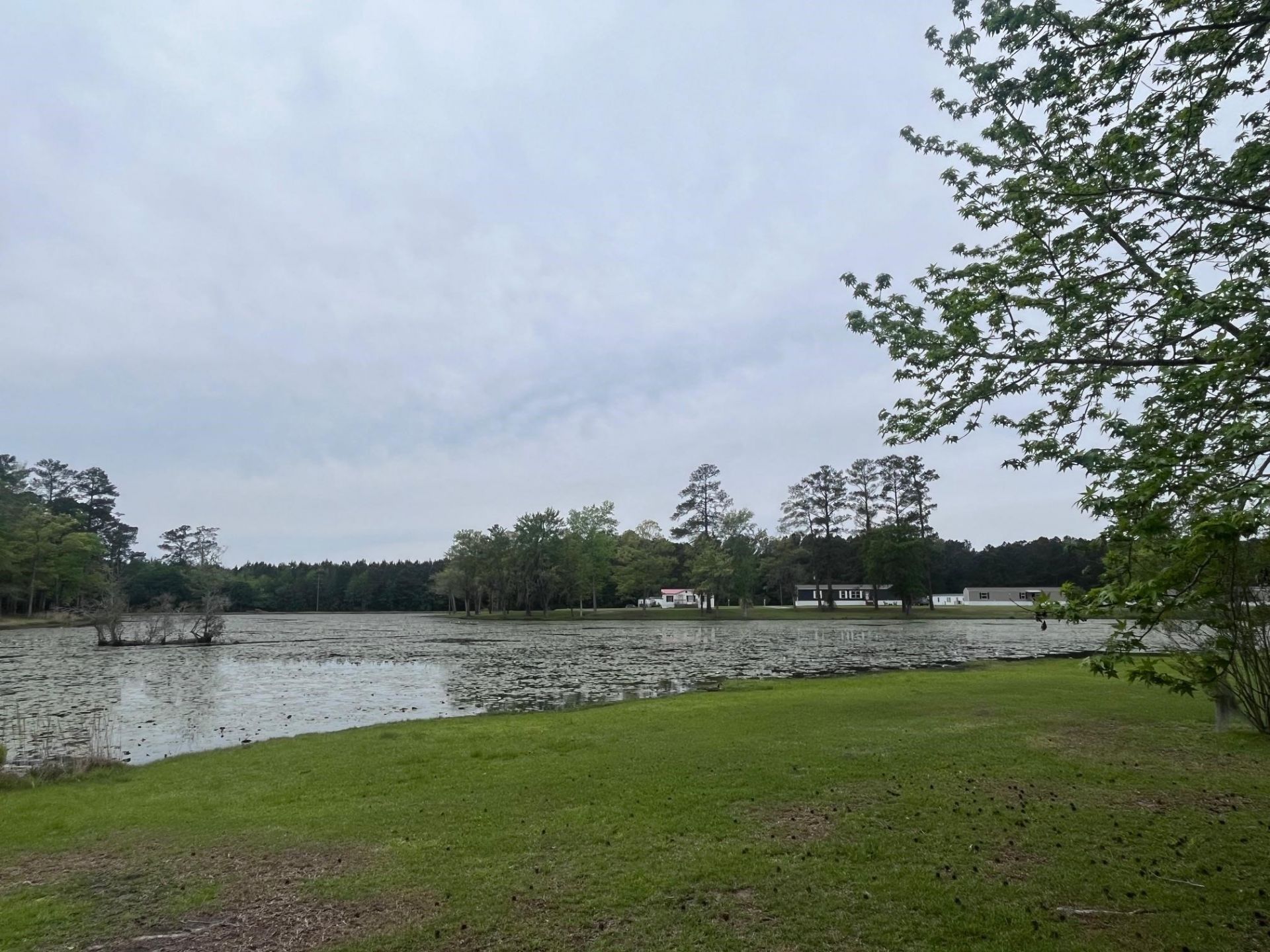 233 Williamson Lake Circle Photo 77