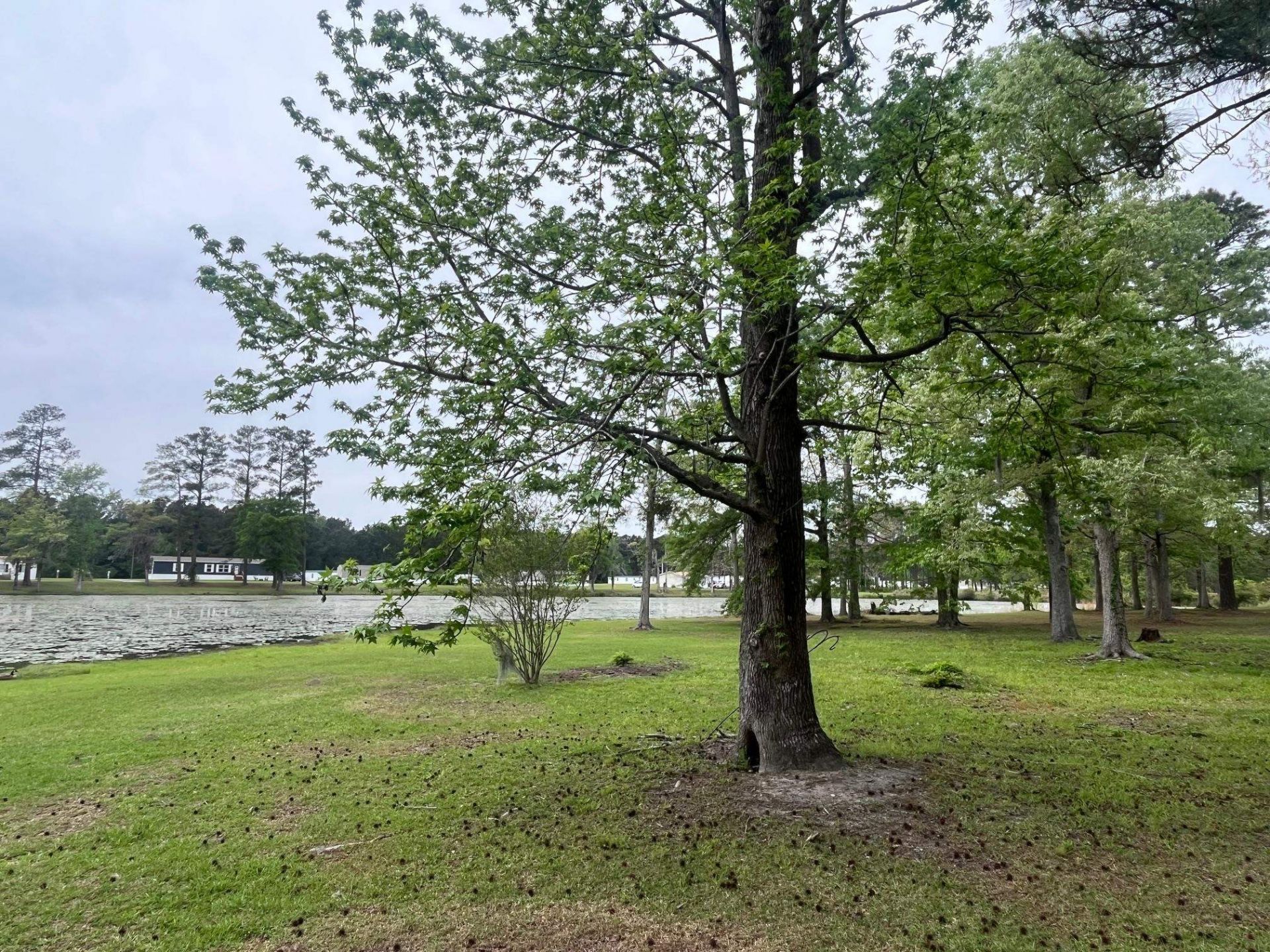 233 Williamson Lake Circle Photo 78