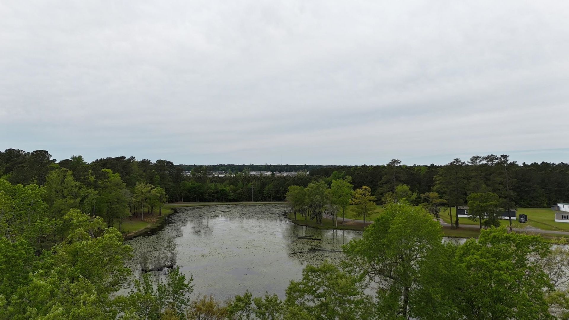 233 Williamson Lake Circle Photo 8