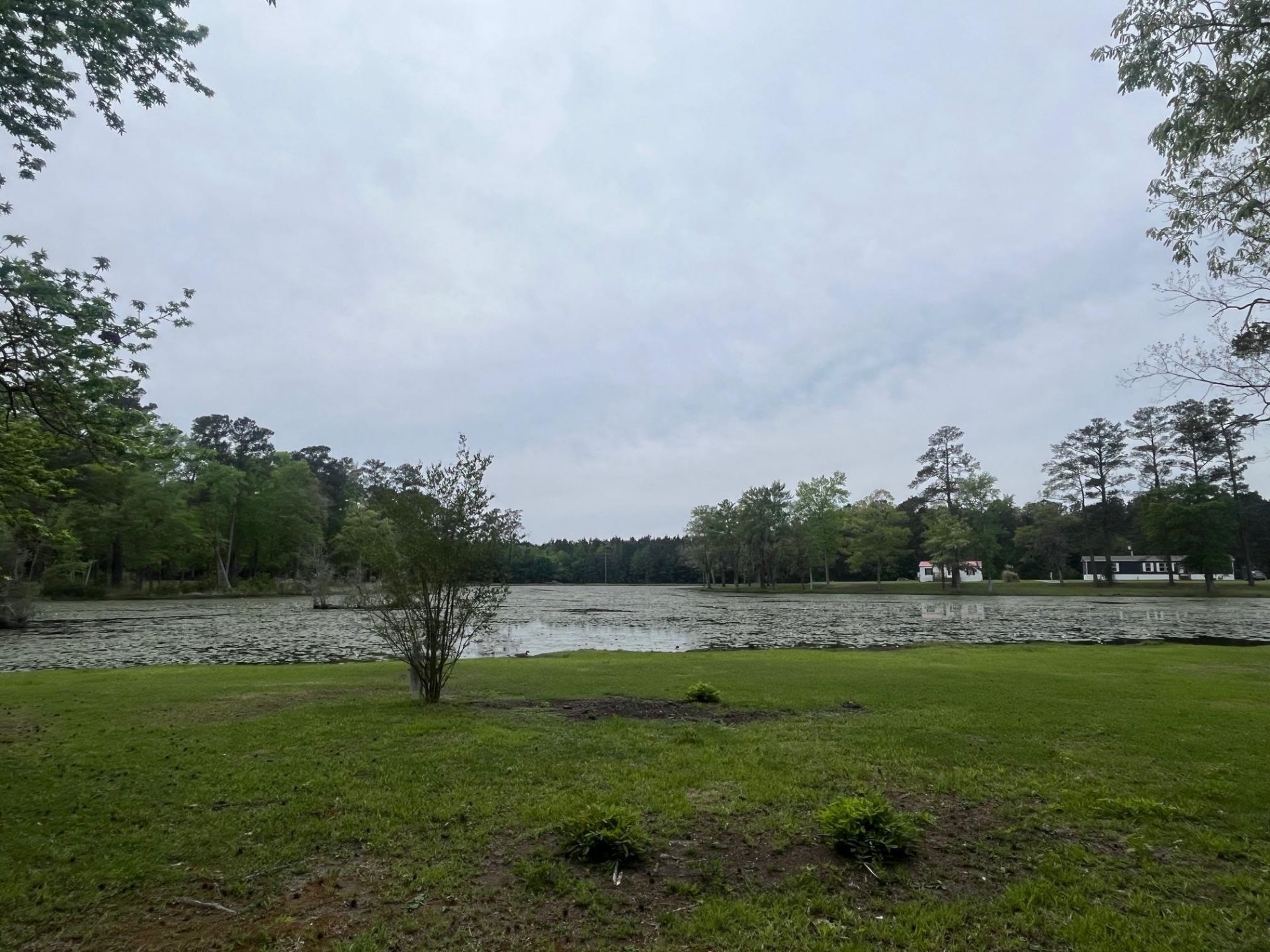 233 Williamson Lake Circle Photo 81