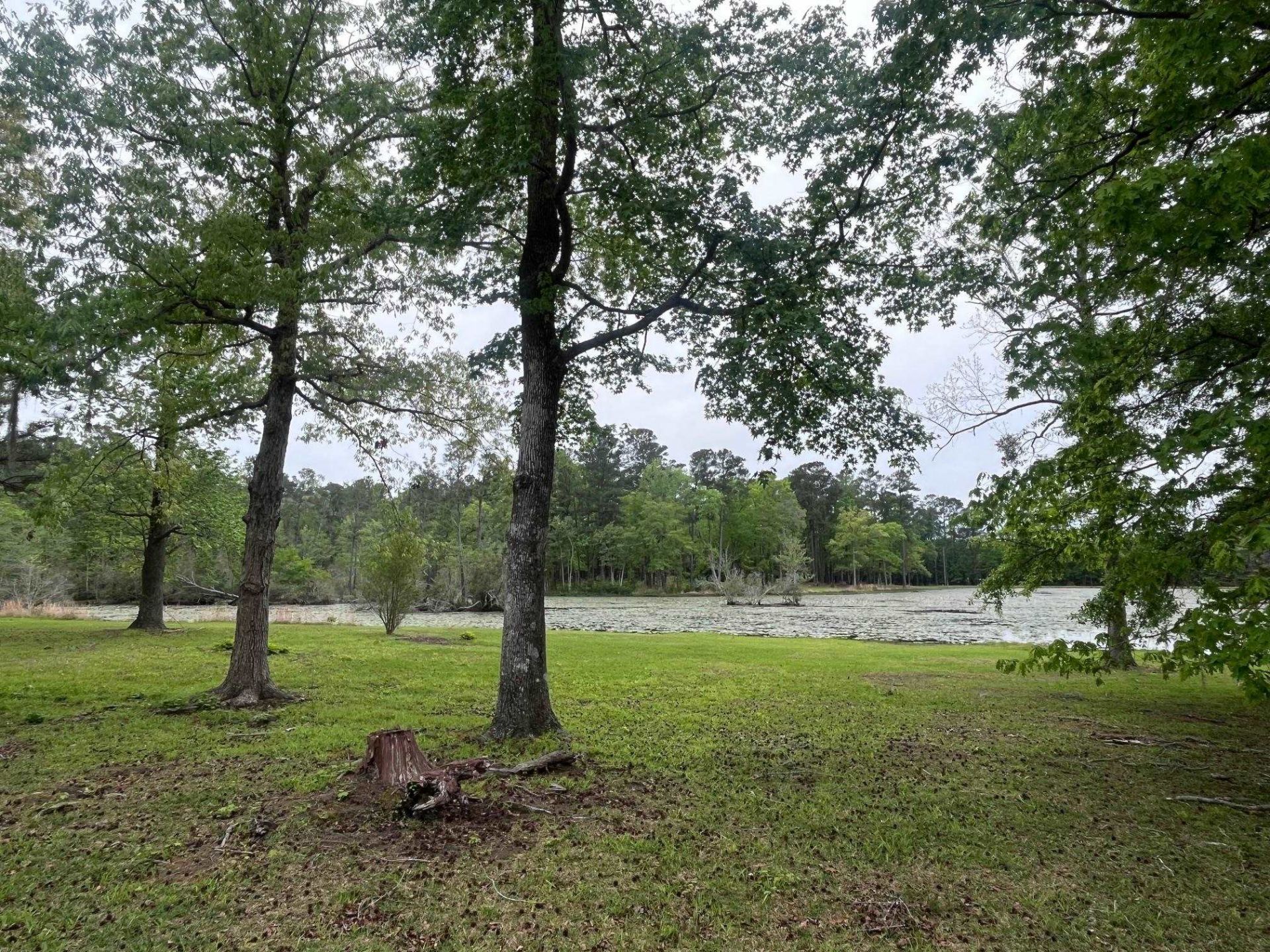 233 Williamson Lake Circle Photo 83