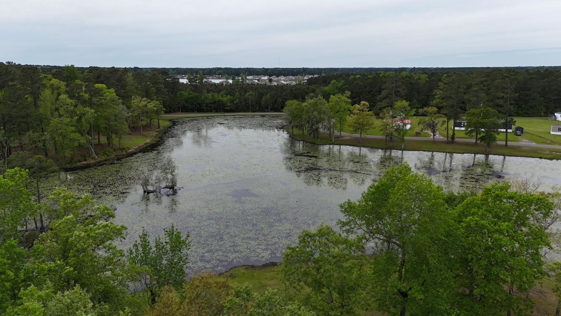 233 Williamson Lake Circle Photo 9