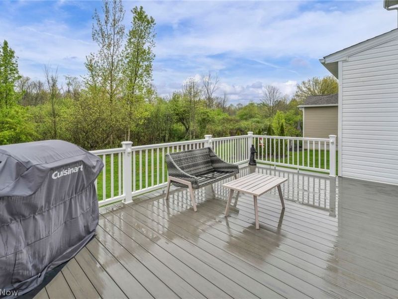 180 Country Meadow Lane, Wadsworth, OH 44281 Photo 48