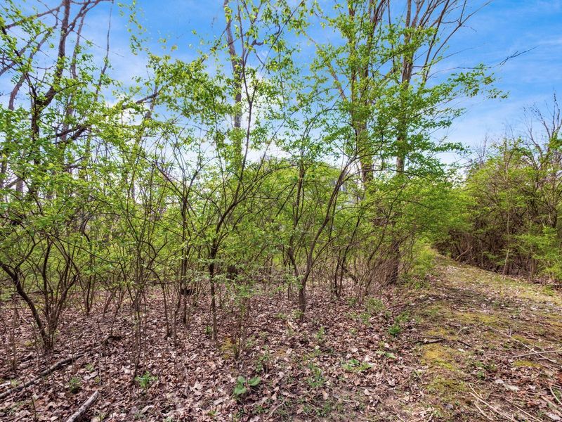 9472 Riverway Run, Powell, OH 43065 Photo 113