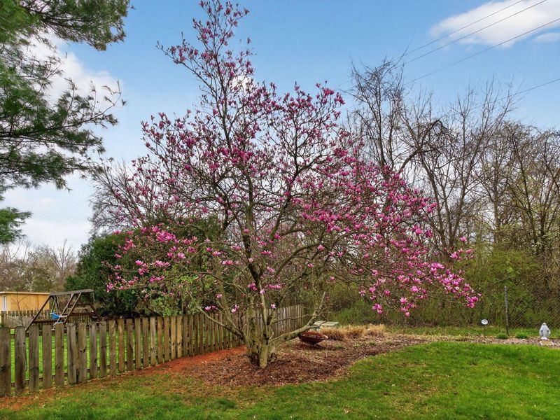 8433 Bridletree Way , Columbus, OH 43235 Photo 56