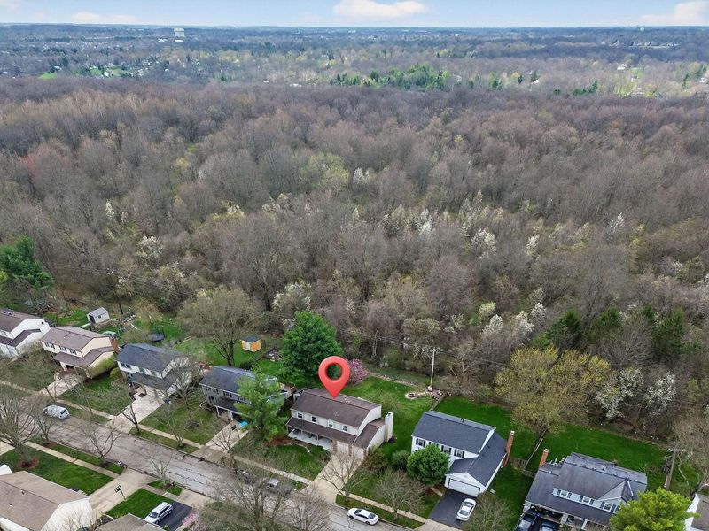 8433 Bridletree Way , Columbus, OH 43235 Photo 60