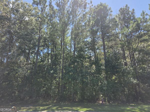 LOT 143 Canopy Lane, Waverly, GA 31565