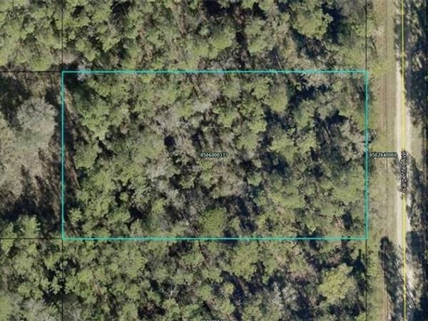 10065 Carpenter AVE, HASTINGS, FL 32145