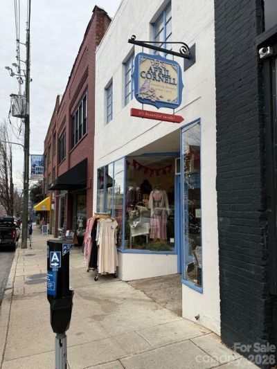 28 N Lexington Avenue, Asheville, NC 28801