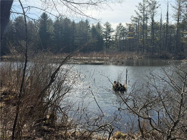 Hattie Clark Road, Greene, NY 13778