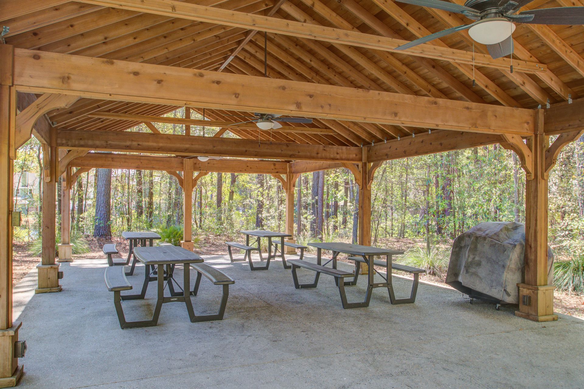 1505 Hopeman Lane Photo 44