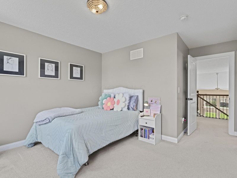 7822 Meadow Chase Drive, Sunbury, OH 43074 Photo 50