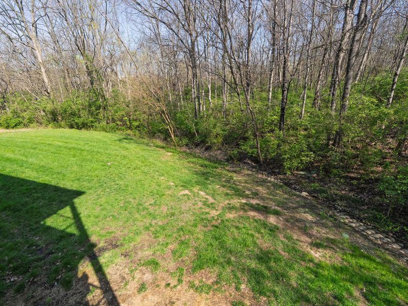 388 Marian Lane, Unit 8, Florence, KY 41042 Photo 21