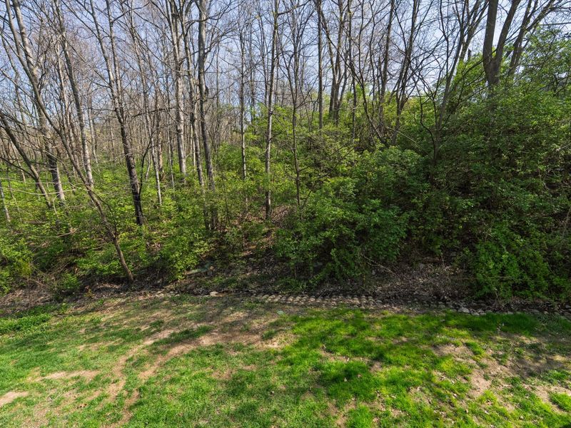 388 Marian Lane, Unit 8, Florence, KY 41042 Photo 22